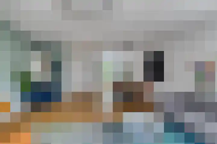Jan Bootlaan 6 Den Haag thumbnail 12