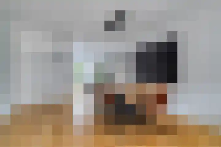 Jan Bootlaan 6 Den Haag thumbnail 15