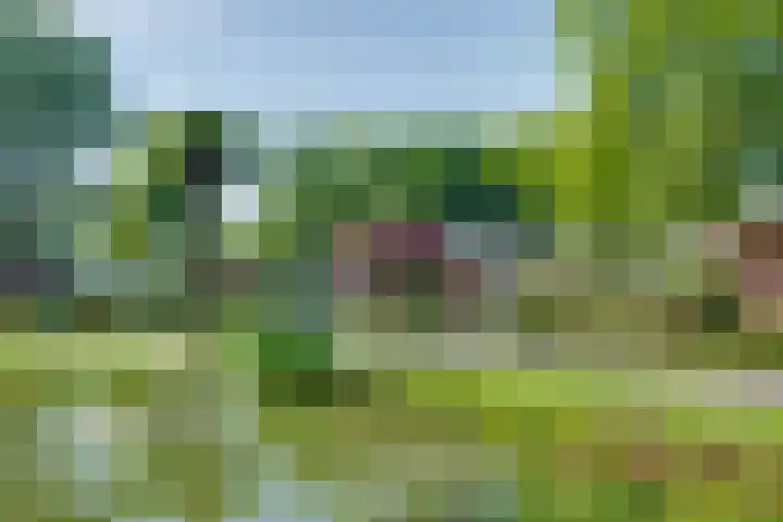Jan Bootlaan 6 Den Haag thumbnail 18