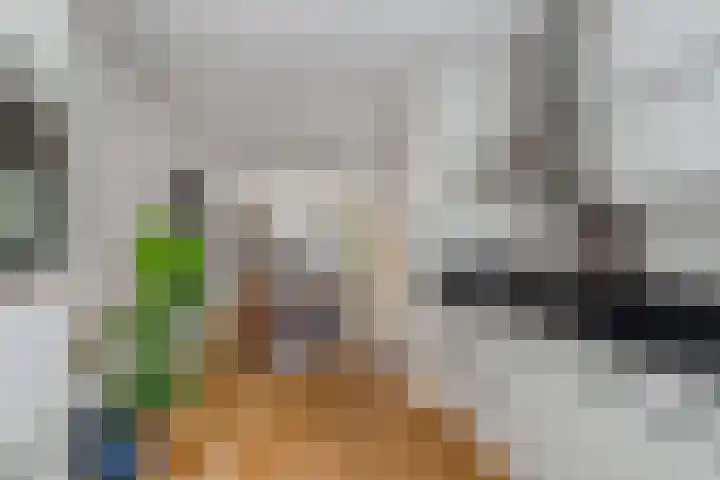 Jan Bootlaan 6 Den Haag thumbnail 18
