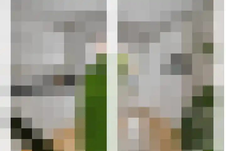 Jan Bootlaan 6 Den Haag thumbnail 19