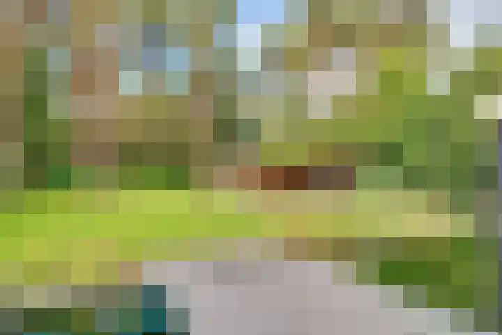Jan Bootlaan 6 Den Haag thumbnail 33