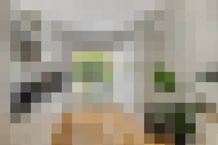 Jan Bootlaan 6 Den Haag thumbnail 4