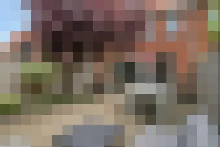 Jan Bootlaan 6 Den Haag thumbnail 41
