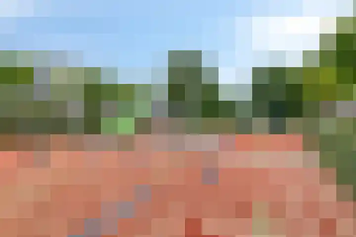Jan Bootlaan 6 Den Haag thumbnail 42