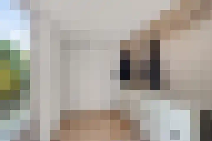 Jan Bootlaan 6 Den Haag thumbnail 6