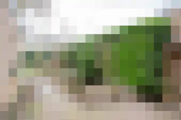 Jan Bosstraat 32 Giesbeek thumbnail 25