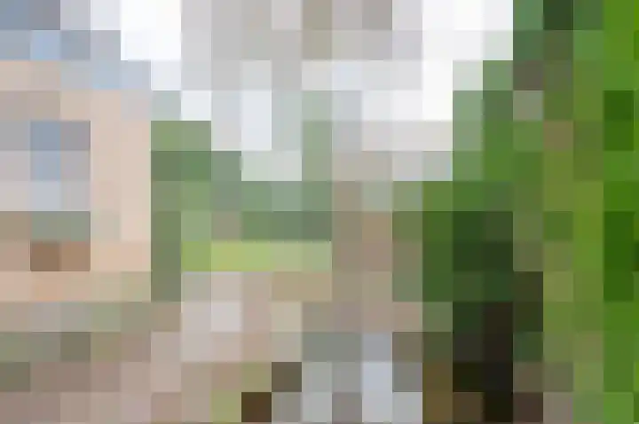 Jan Bosstraat 32 Giesbeek thumbnail 26