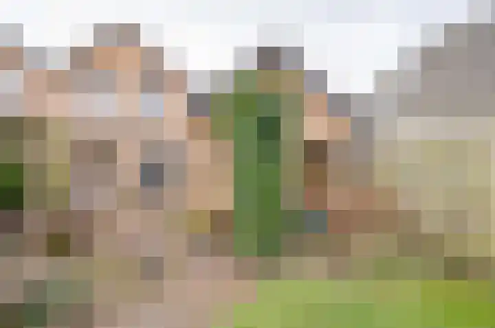 Jan Bosstraat 32 Giesbeek thumbnail 29