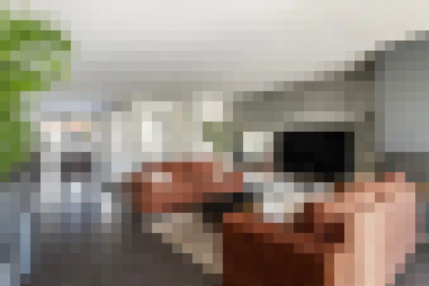 Jan Boudesteinstraat 17 Maassluis thumbnail 11