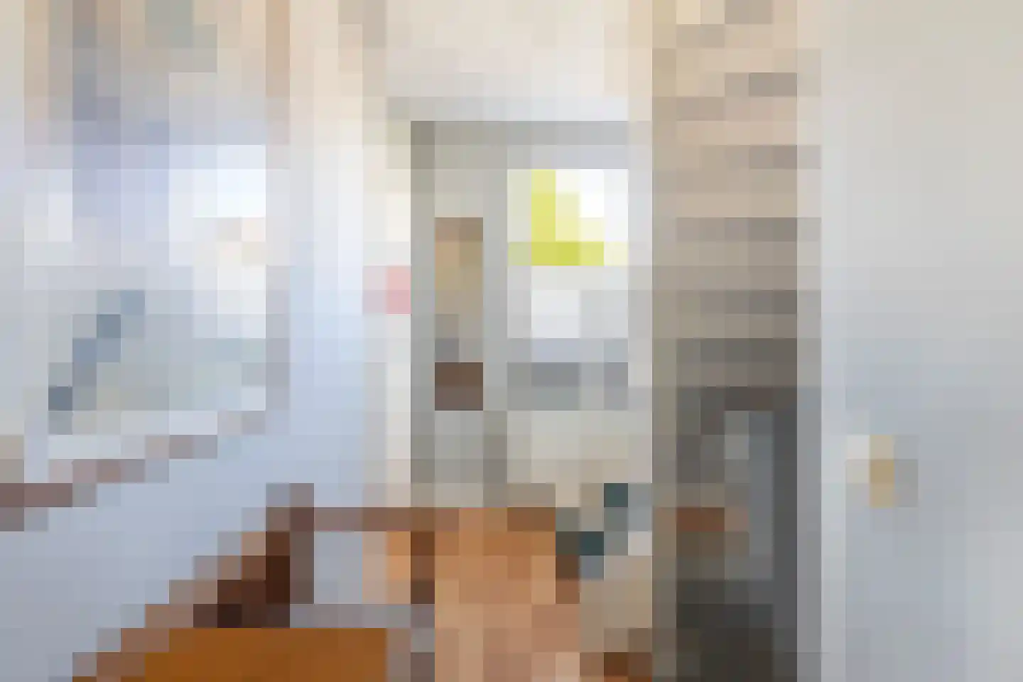 Jan Boudesteinstraat 17 Maassluis thumbnail 25