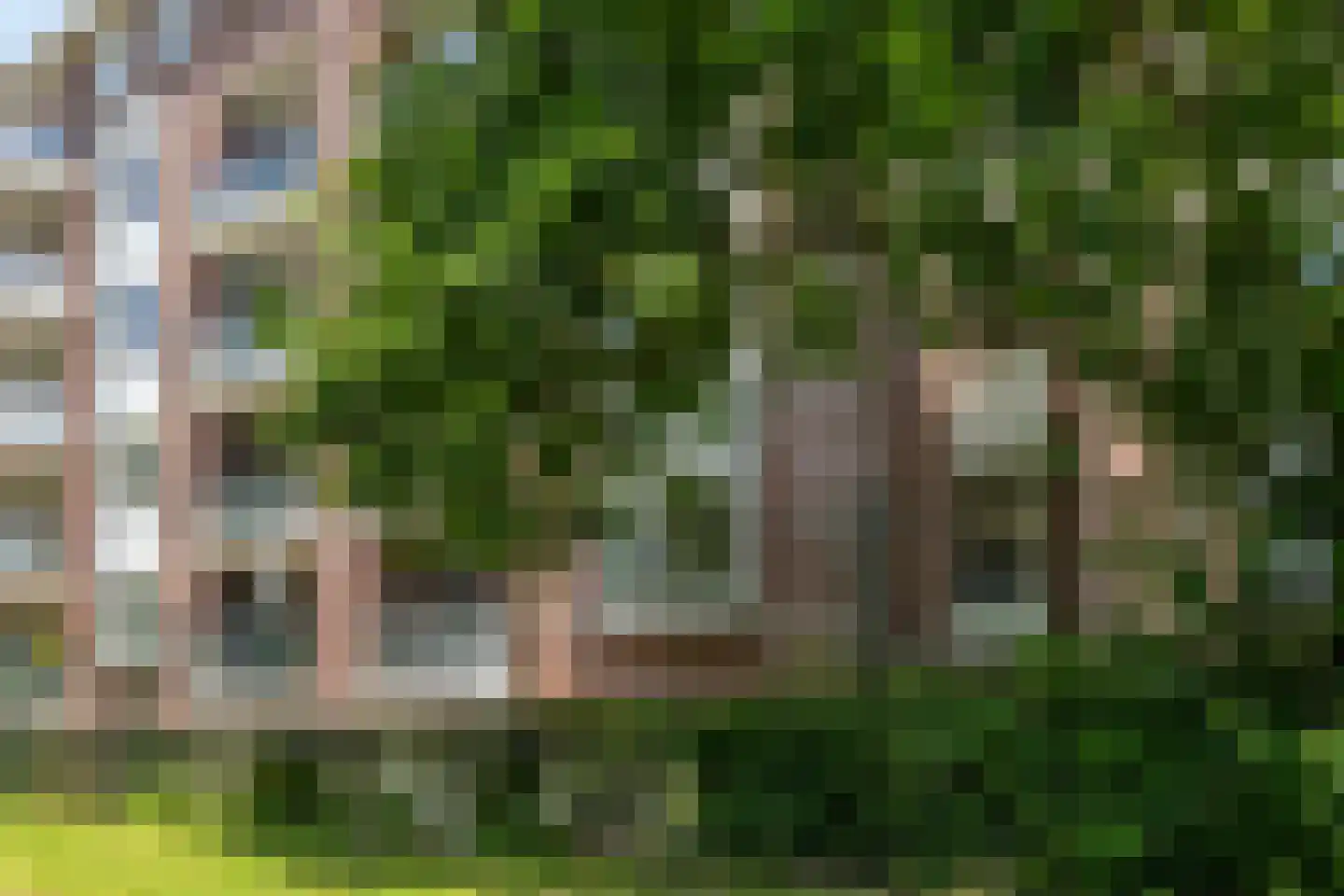 Jan Brinkhoffplantsoen 22 Nijmegen thumbnail 41