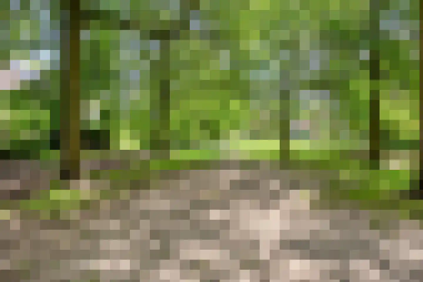 Jan Brinkhoffplantsoen 22 Nijmegen thumbnail 42