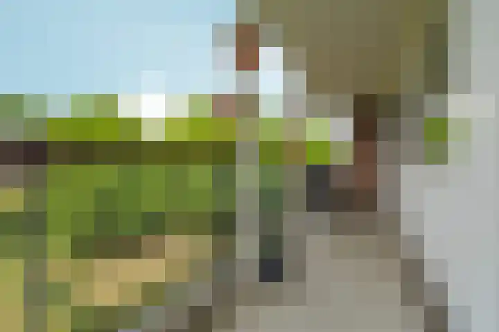Jan Brinkhoffplantsoen 30 Nijmegen thumbnail 20
