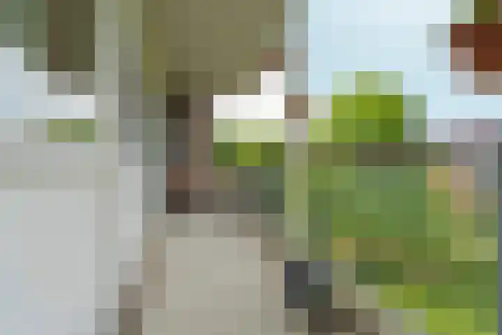 Jan Brinkhoffplantsoen 30 Nijmegen thumbnail 21