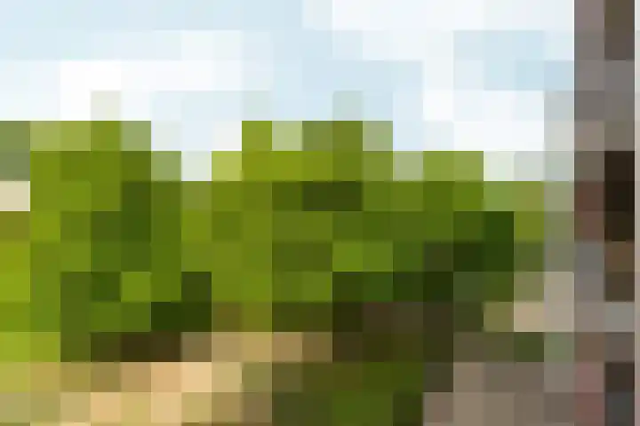 Jan Brinkhoffplantsoen 30 Nijmegen thumbnail 22