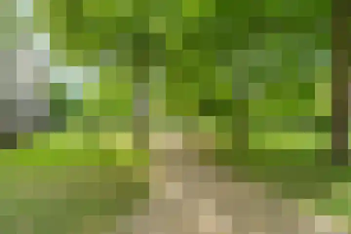 Jan Brinkhoffplantsoen 30 Nijmegen thumbnail 25