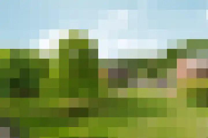 Jan Brinkhoffplantsoen 30 Nijmegen thumbnail 28