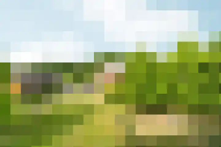 Jan Brinkhoffplantsoen 30 Nijmegen thumbnail 29