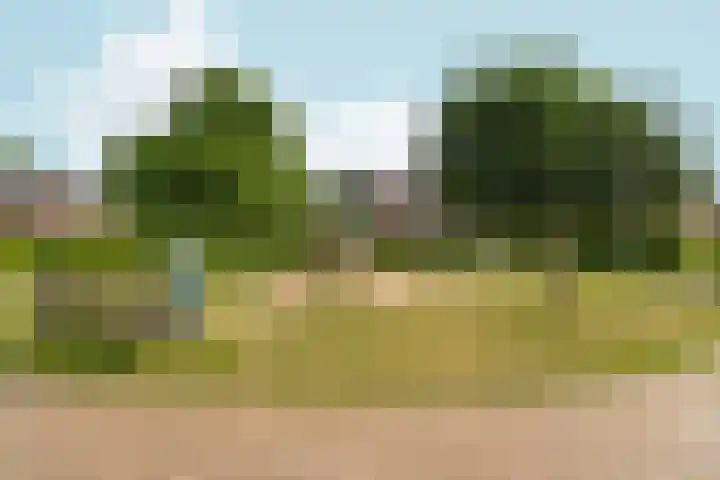 Jan Brinkhoffplantsoen 30 Nijmegen thumbnail 30