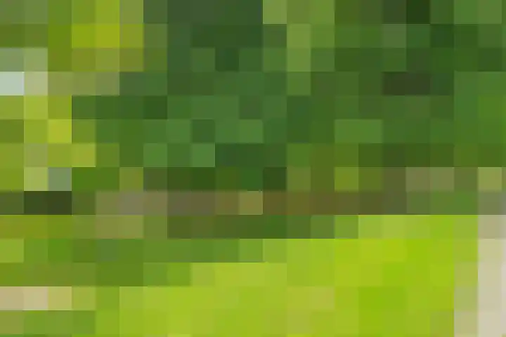Jan Brinkhoffplantsoen 30 Nijmegen thumbnail 31