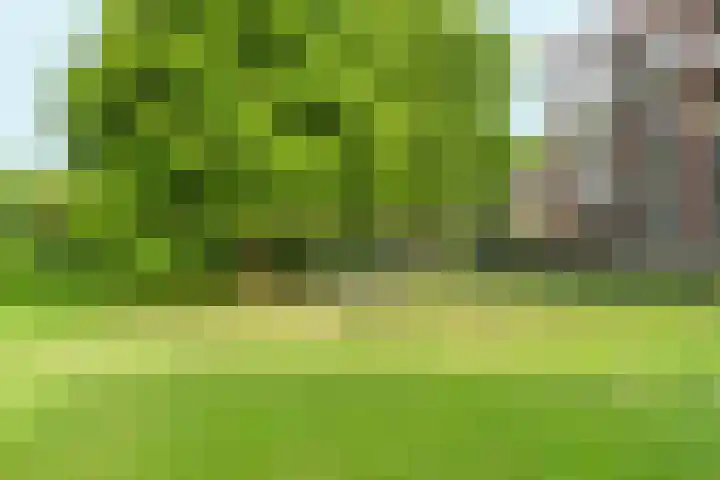 Jan Brinkhoffplantsoen 30 Nijmegen thumbnail 5