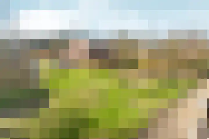 Jan Brinkhoffplantsoen 31 Nijmegen thumbnail 25