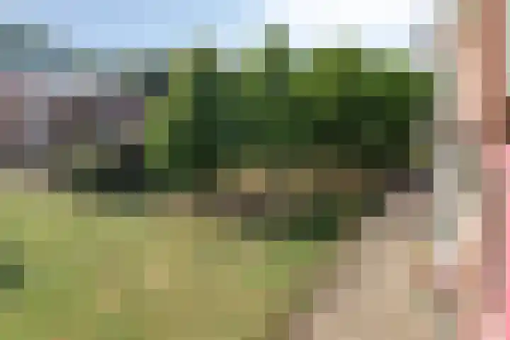 Jan Brinkhoffplantsoen 32 Nijmegen thumbnail 18