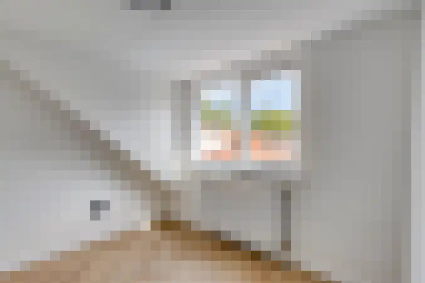 Jan Brinkmanstraat 2 Zaandam thumbnail 29
