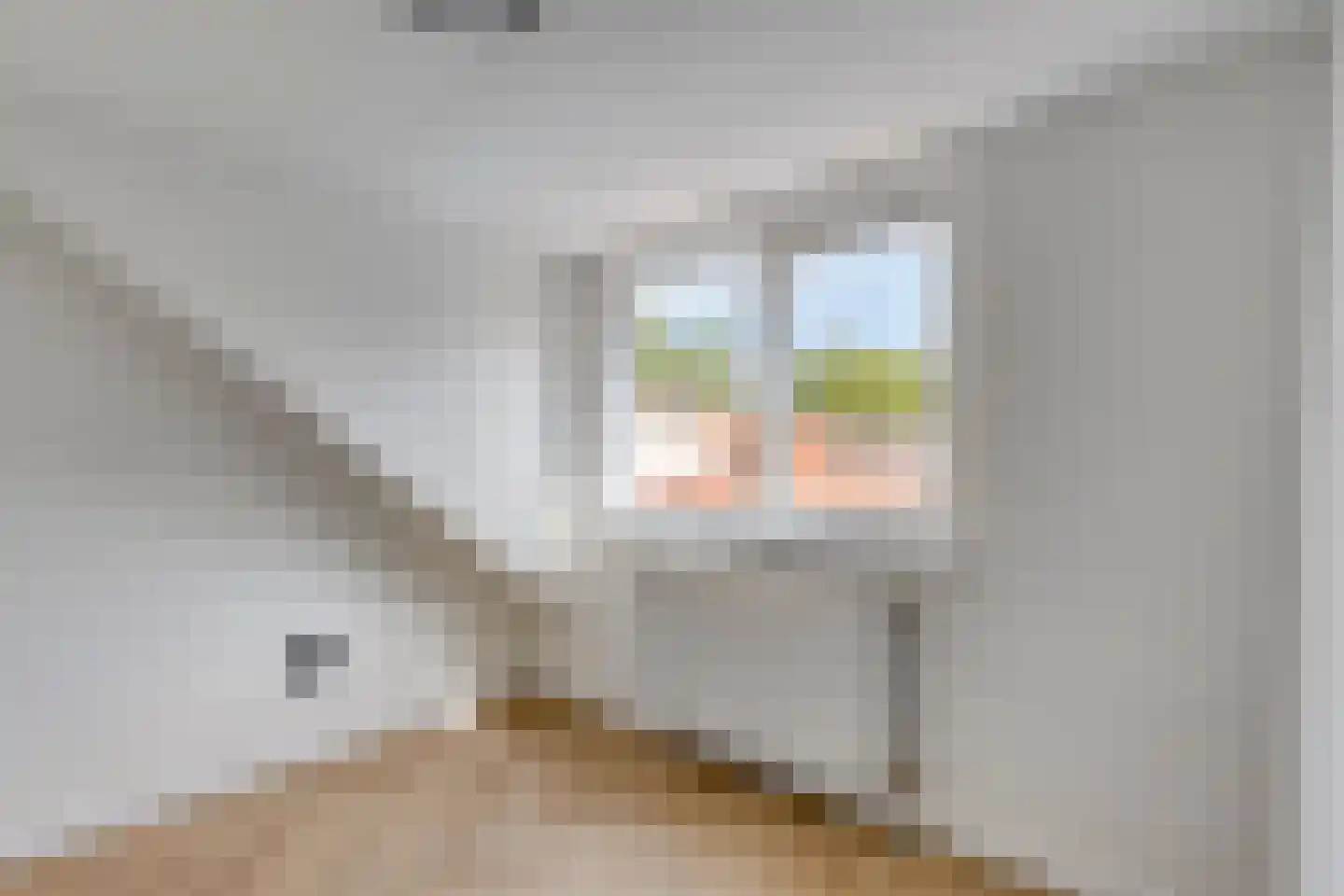 Jan Brinkmanstraat 2 Zaandam thumbnail 35