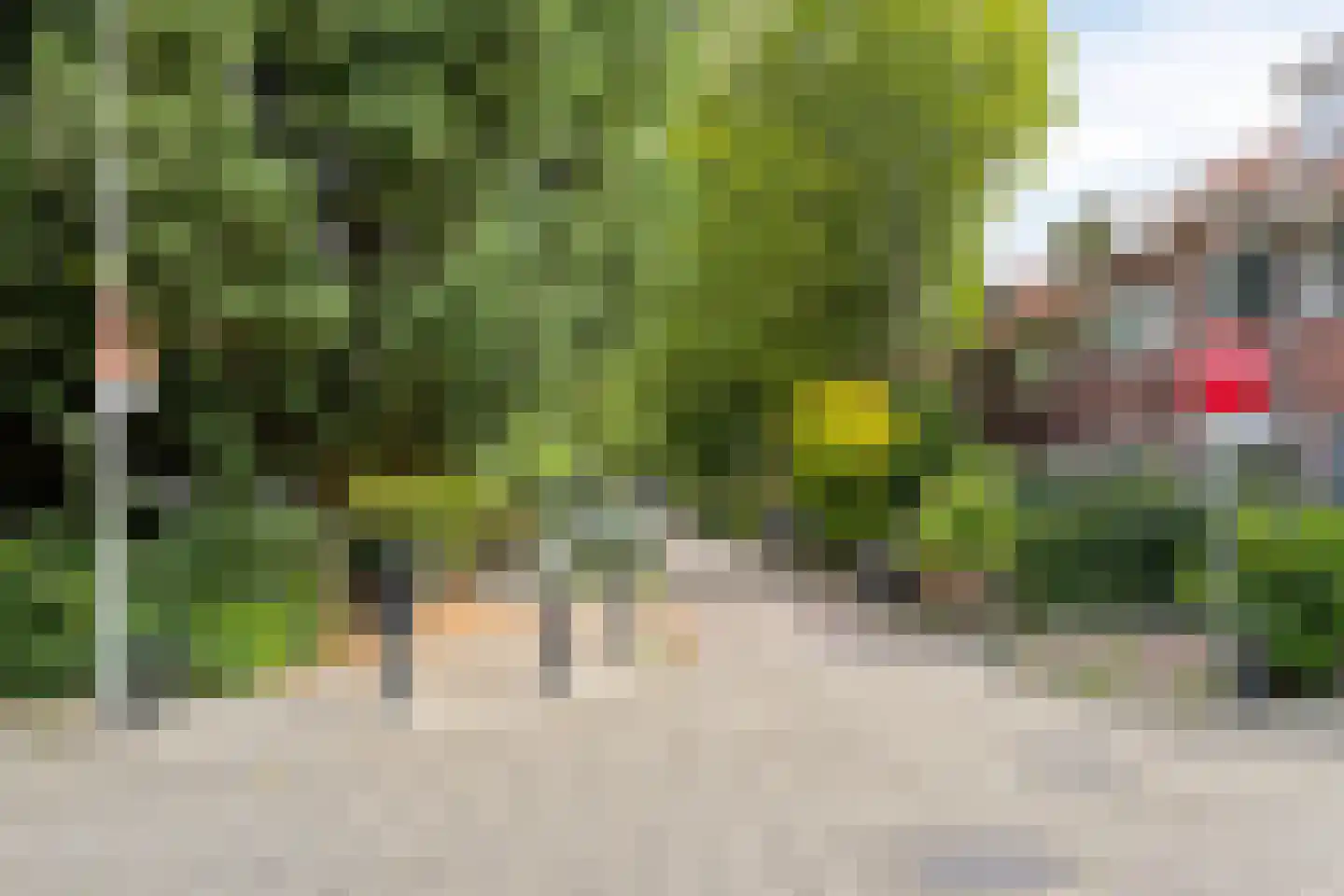 Jan Brinkmanstraat 2 Zaandam thumbnail 36
