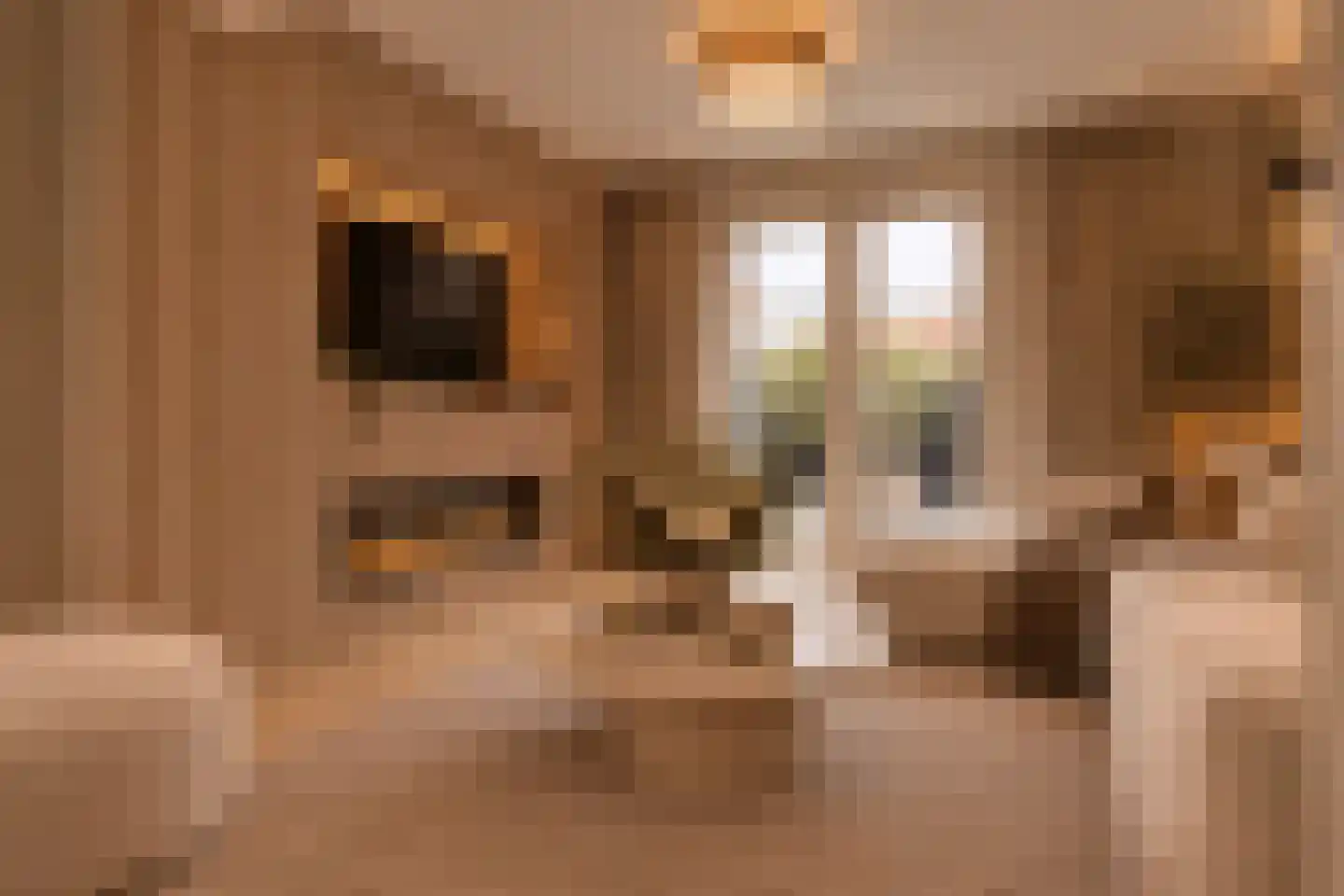 Jan Brinkmanstraat 2 Zaandam thumbnail 5