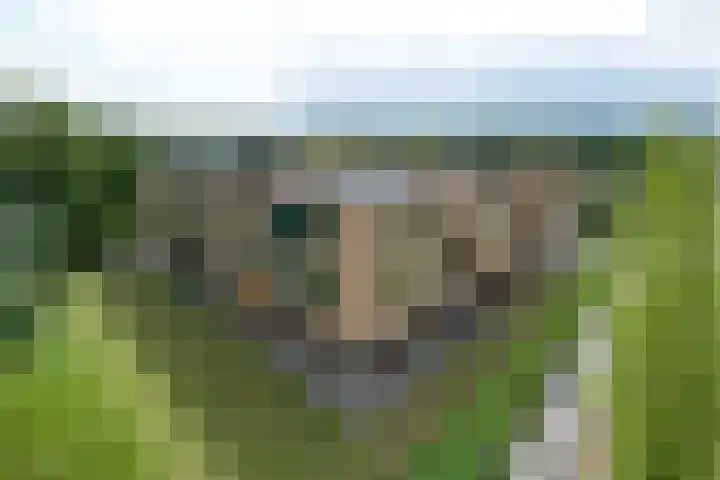 Jan Bronnerplantsoen 4 Deventer thumbnail 42