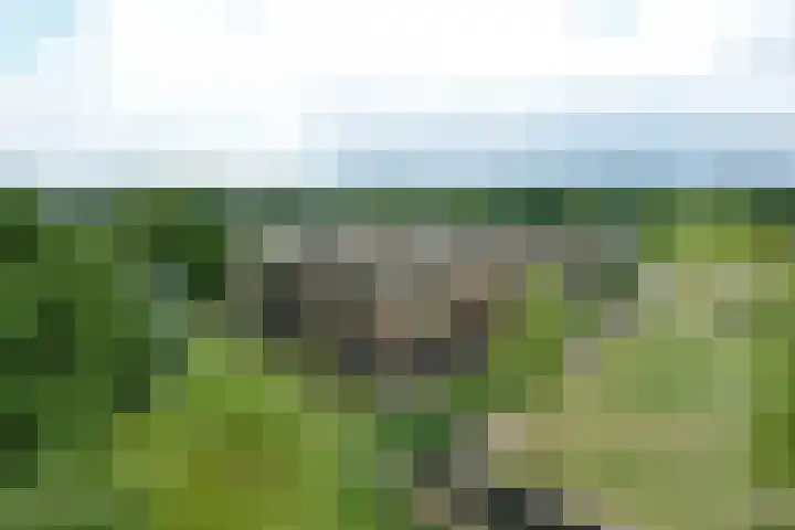 Jan Bronnerplantsoen 4 Deventer thumbnail 43