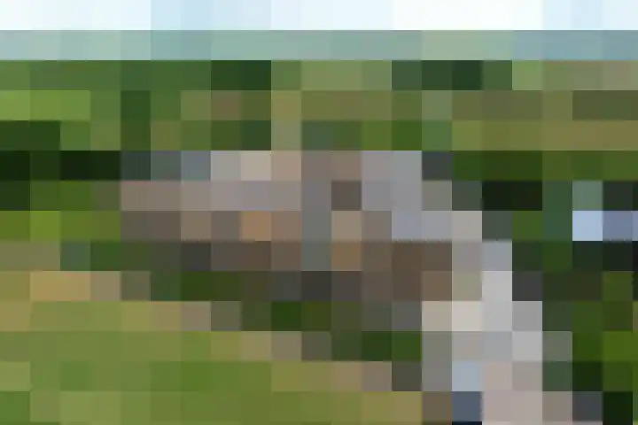 Jan Bronnerplantsoen 4 Deventer thumbnail 46