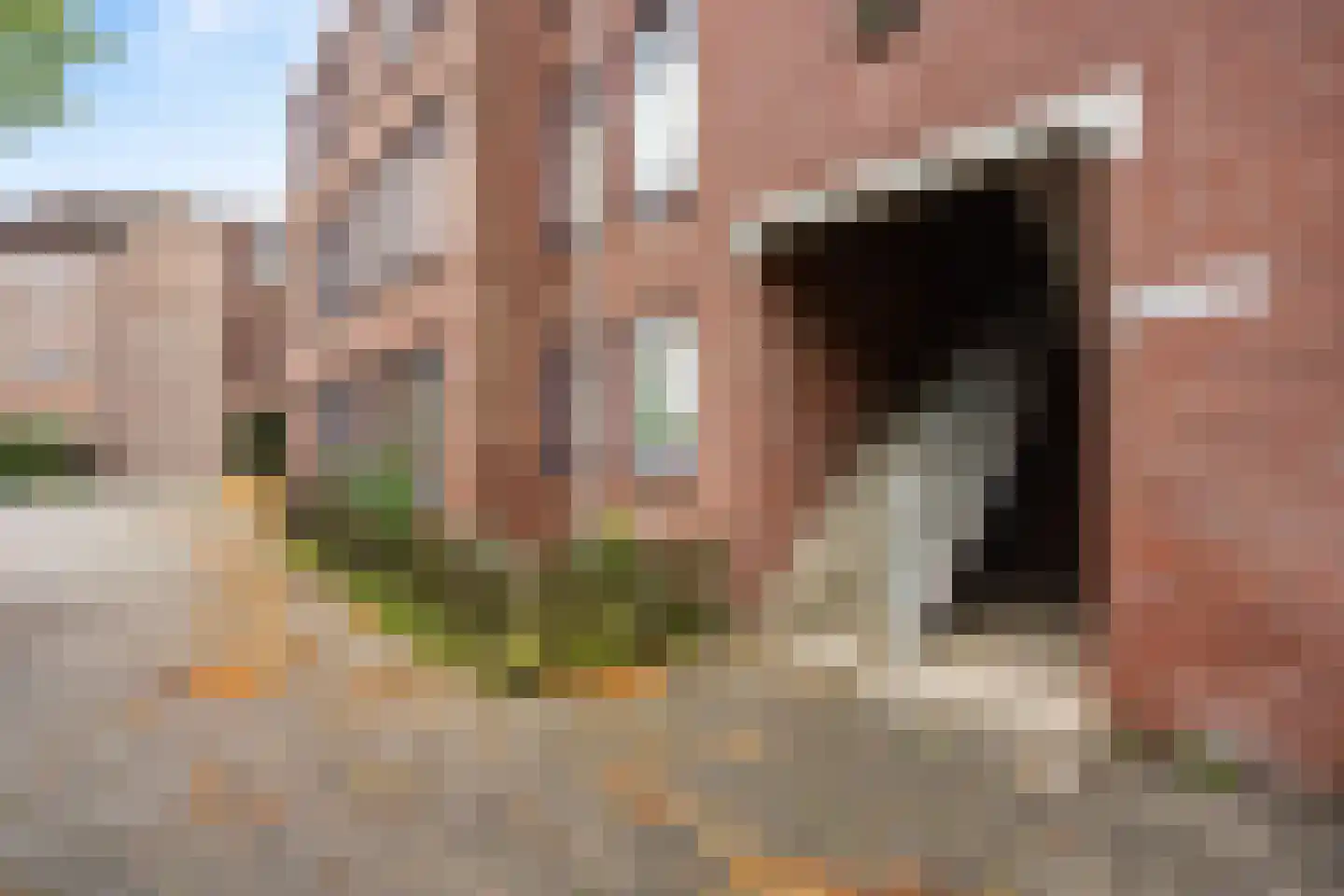 Jan Bronnerstraat 110 Den Haag thumbnail 5
