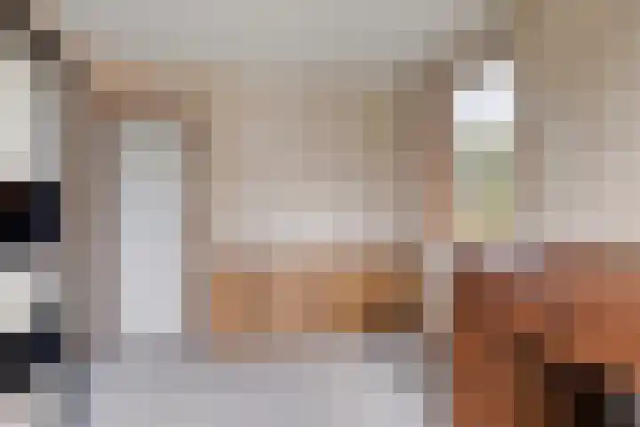 Jan Bruins Slotstraat 3 Hollandscheveld thumbnail 20