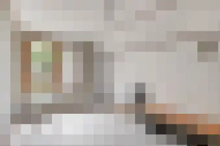 Jan Bruins Slotstraat 3 Hollandscheveld thumbnail 33