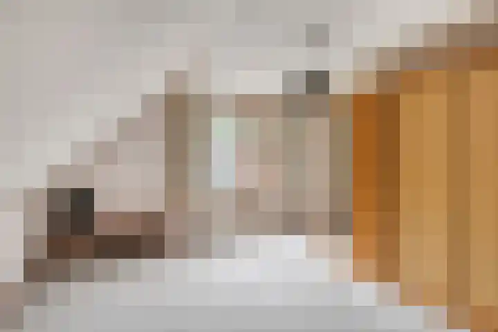 Jan Bruins Slotstraat 3 Hollandscheveld thumbnail 35