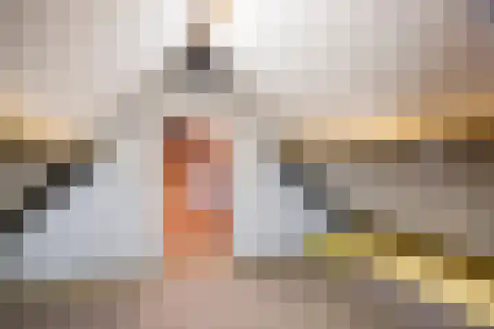 Jan Bruins Slotstraat 3 Hollandscheveld thumbnail 42
