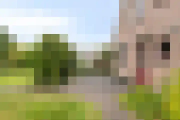 Jan Bruins Slotstraat 3 Hollandscheveld thumbnail 44