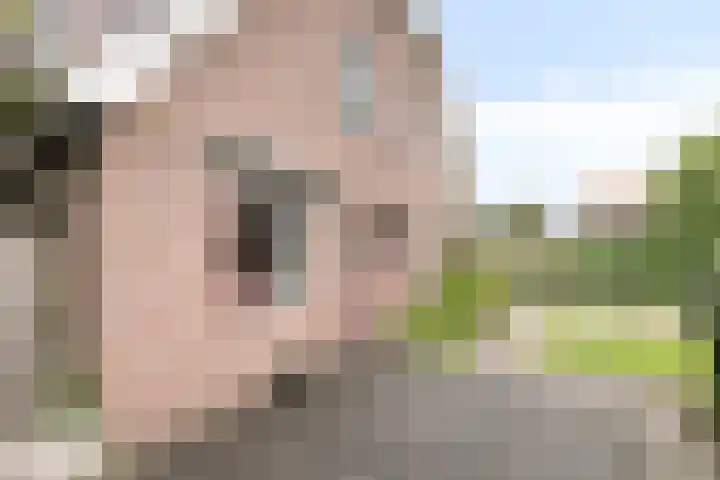Jan Bruins Slotstraat 3 Hollandscheveld thumbnail 45