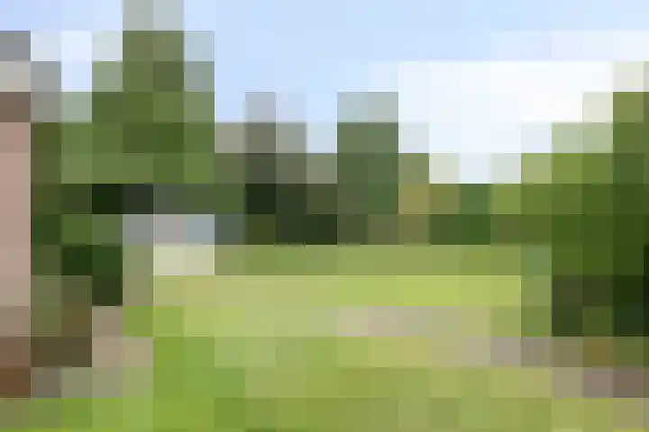 Jan Bruins Slotstraat 3 Hollandscheveld thumbnail 46