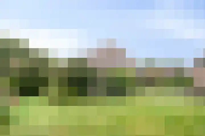 Jan Bruins Slotstraat 3 Hollandscheveld thumbnail 47