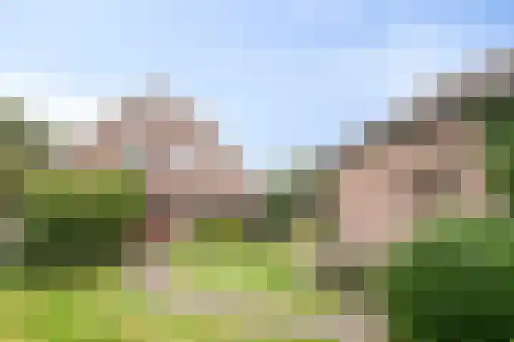 Jan Bruins Slotstraat 3 Hollandscheveld thumbnail 49
