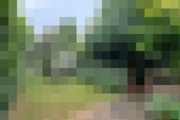Jan Bruins Slotstraat 3 Hollandscheveld thumbnail 50