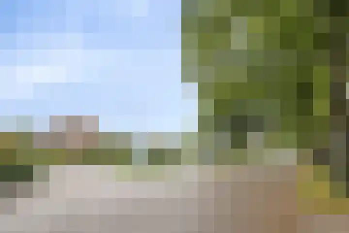 Jan Bruins Slotstraat 3 Hollandscheveld thumbnail 57