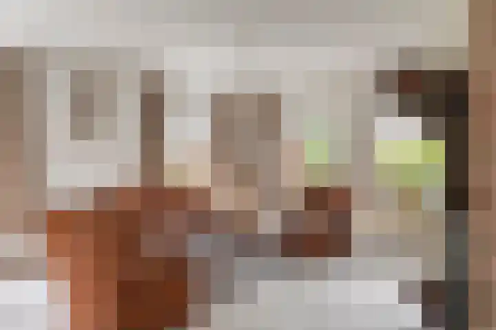 Jan Bruins Slotstraat 3 Hollandscheveld thumbnail 8