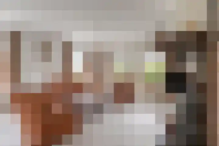 Jan Bruins Slotstraat 3 Hollandscheveld thumbnail 9