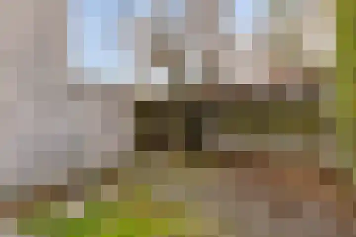 Jan Brunnekreefstraat 32 Oisterwijk thumbnail 20
